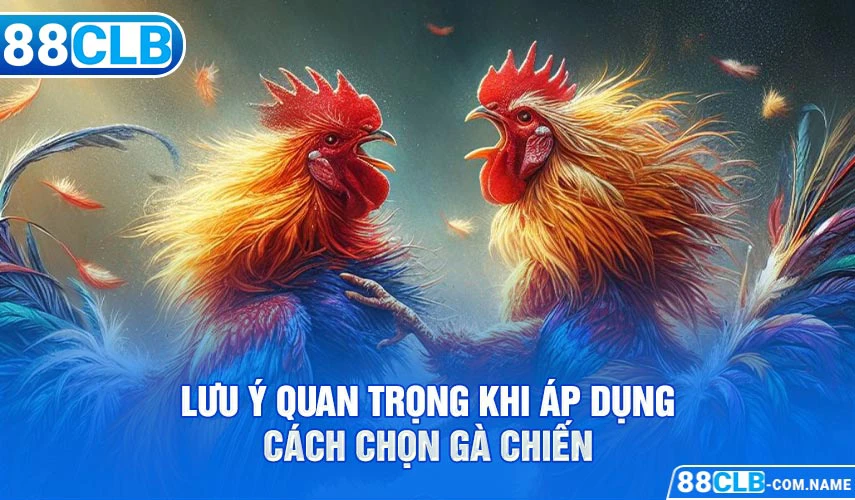 Mẹo Chọn Gà | Tiết Lộ 5 Cách Chọn Chiến Kê Từ Chuyên Gia Lưu ý quan trọng khi áp dụng cách chọn gà Chiến