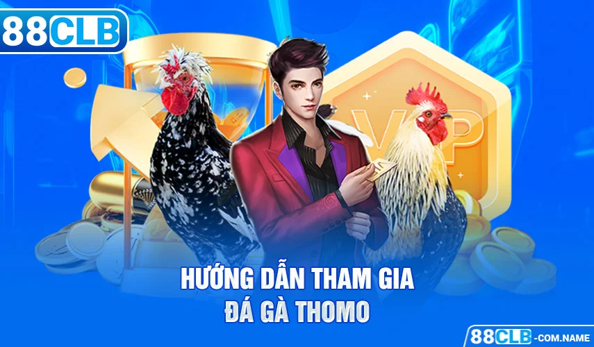 Đá Gà Thomo | Sảnh Đá Gà Trực Tiếp Tại Campuchia Hướng dẫn tham gia đá gà Thomo