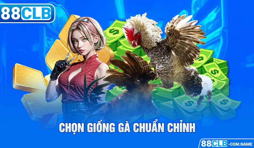 Cách Nuôi Chiến Kê – Bí Kíp Nuôi Dưỡng & Huấn Luyện Gà Chiến Tổng quan cách nuôi chiến kê