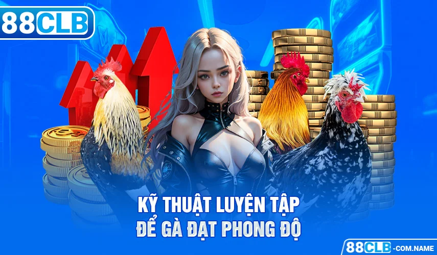 Cách Nuôi Chiến Kê – Bí Kíp Nuôi Dưỡng & Huấn Luyện Gà Chiến Kỹ thuật luyện tập để gà đạt phong độ